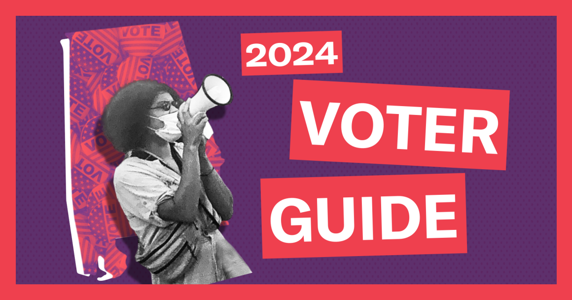 2024 voter guide
