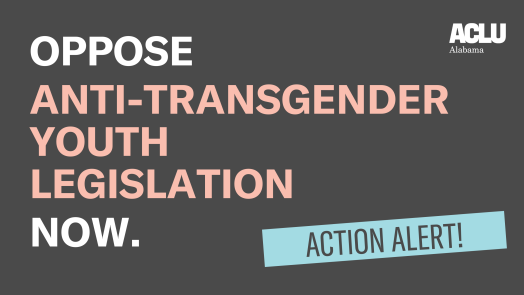 Action alert: Oppose anti-transgender youth legislation now.